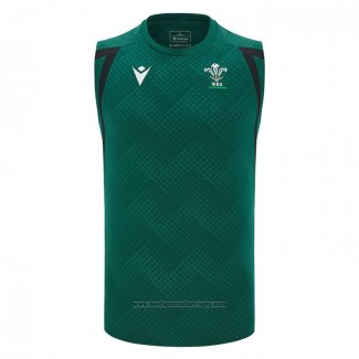 Debardeur Pays De Galles Rugby 2026 Entrainement Vert