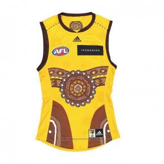 Maillot Hawthorn Hawks AFL 2022 Indigene