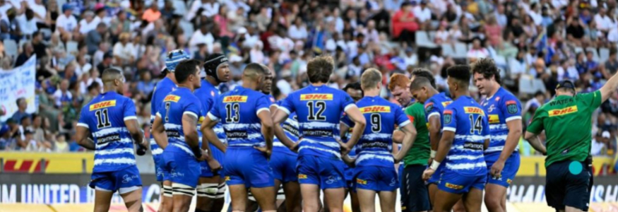 maillot rugby Stormers